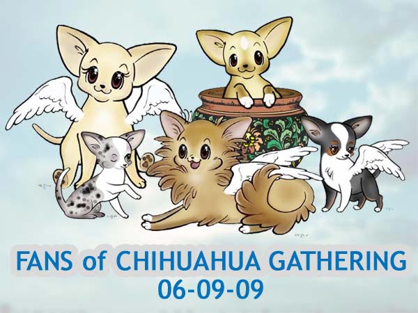 Fans Of Chihuahua Gathering