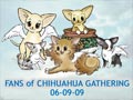 Fans Of Chihuahua Gathering