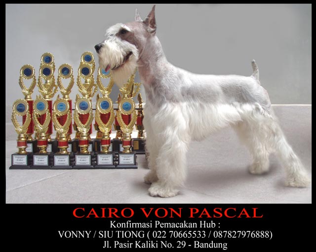 Cairo Von Pascal