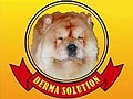 Derma Solution