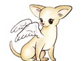 Fashion Dog Show & Tukar Kado Bersama FOC