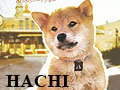 Hachi: Kisah Kesetiaan Seekor Anjing