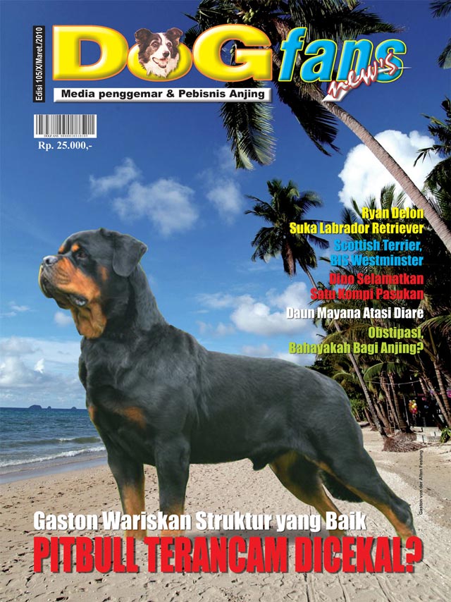 DOGFANS NEWS EDISI 105/2010