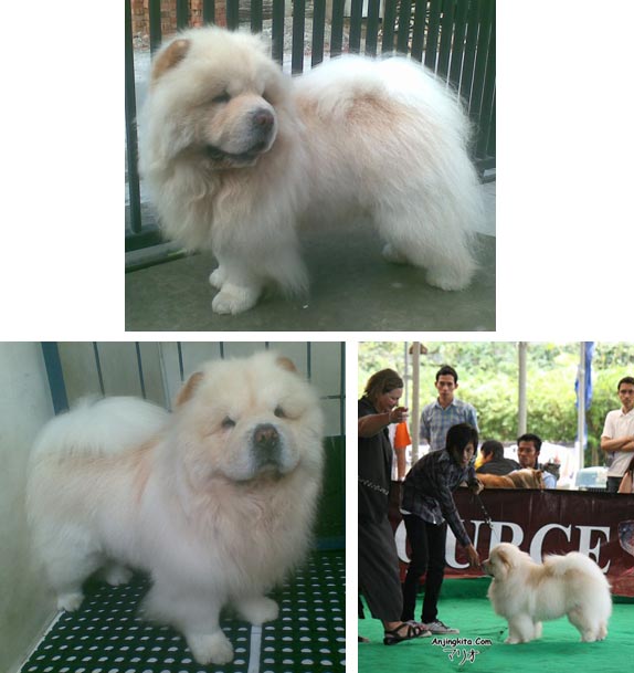 A.Baron  von Lucrosus