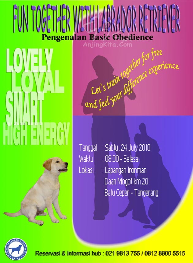 Labrador Gathering: Basic Obedience