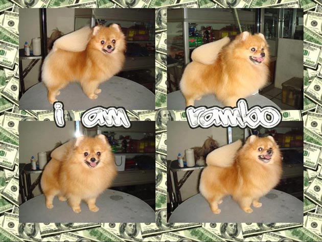 Rambo von Santander