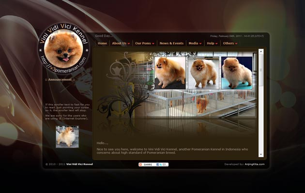 Vini Vidi Vici Pomeranian