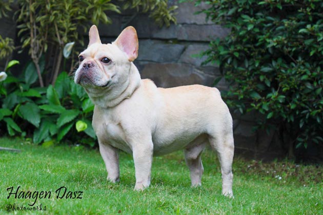 INA.CH.Badwin of South Canal FCI