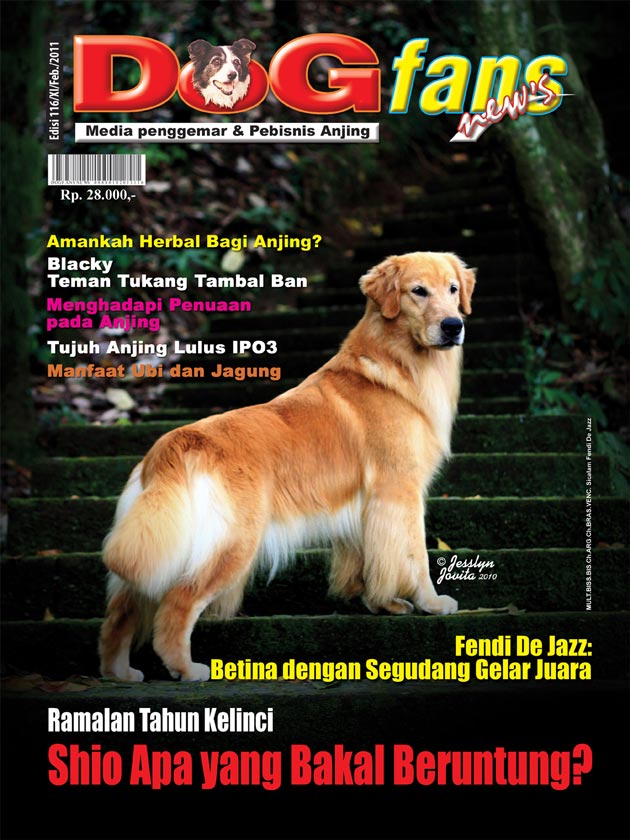 DOGFANS NEWS EDISI 116/Februari 2011