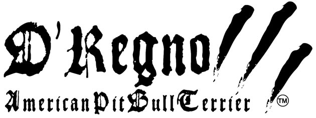 DRegno APBT Kennel