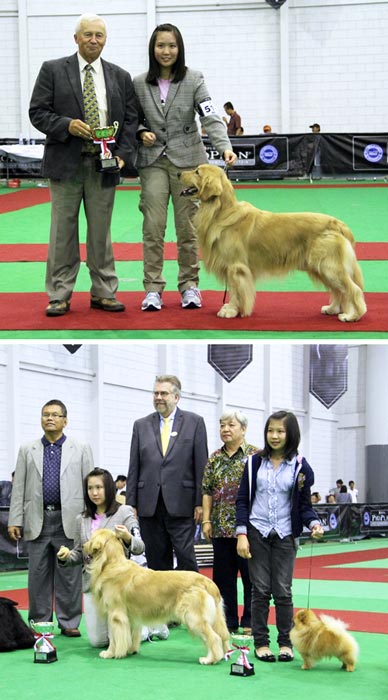 Sharon,  Professional Junior Handler