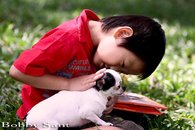 Keuntungan Membeli Anjing dari Pembiak Ternama