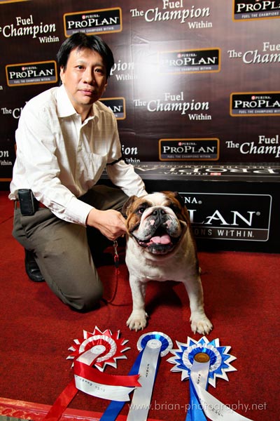 Sukamulya Bulldog