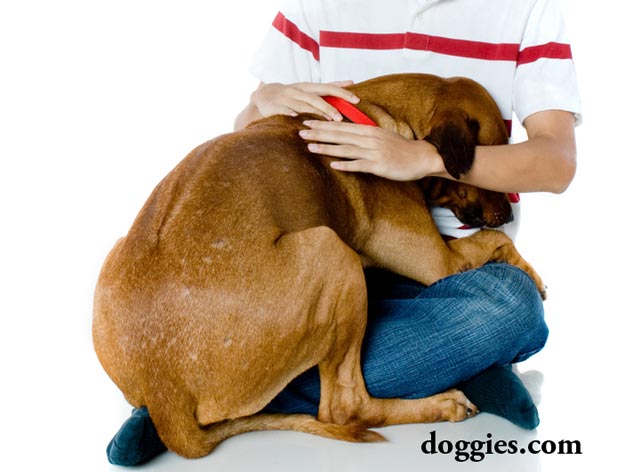 Waktu Untuk Menyembuhkan