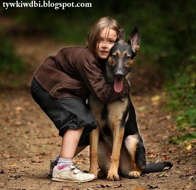 Keuntungan Memiliki Anjing bagi Anak-Anak