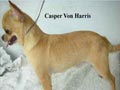 Casper Von Harris