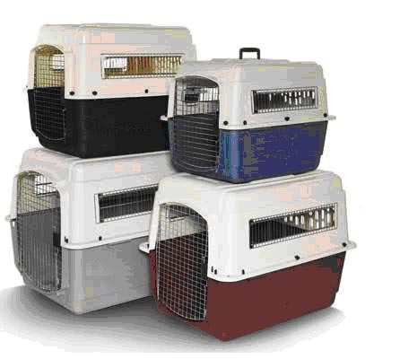 Tips-Tips Mengirimkan Hewan