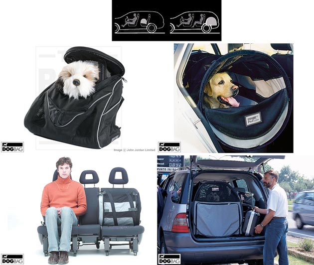 Anjing & Mobil anda