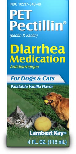 Pet Pectillin�: Obat Diare Untuk Anjing