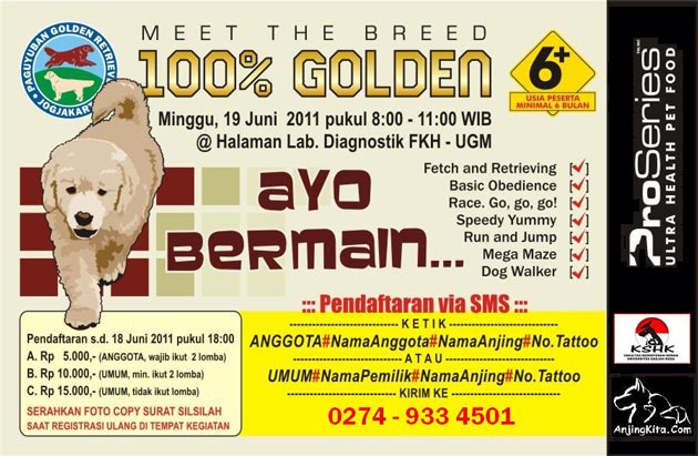 Meet The Breed 100% Golden - Ayo Bermain