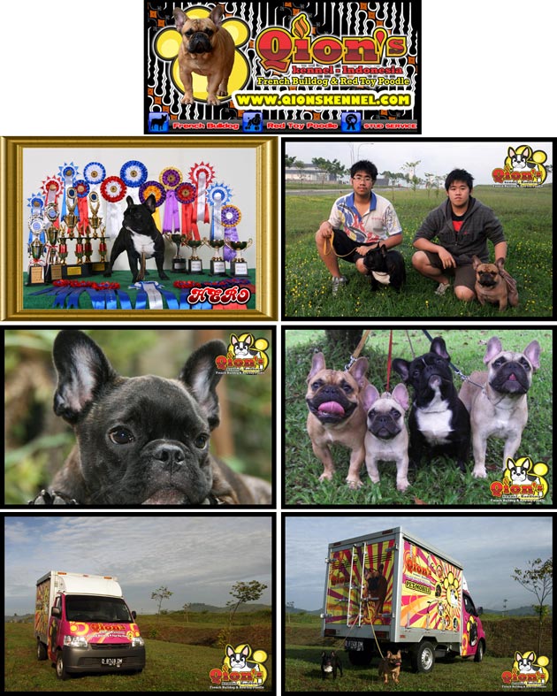 Qions Kennel