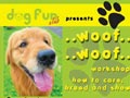 How To Care, Breed & Show Golden Retriever