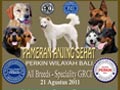 Pameran Anjing Sehat (Denpasar - Bali)