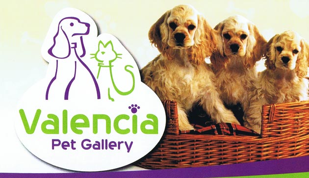 Grand Opening & Dogs Gathering Valencia Pet Gallery