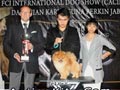 La Grandis Pomeranian 