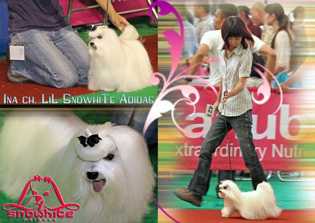 Ina.Ch. LiL SnowhiTe Adidas