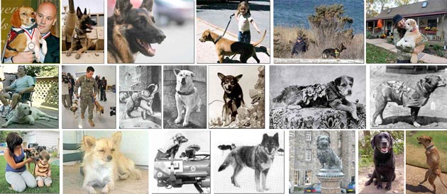 20 Ekor Anjing Heroik yang Pernah Ada