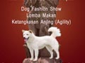 Kontes Anjing Sehat Denpasar 2011