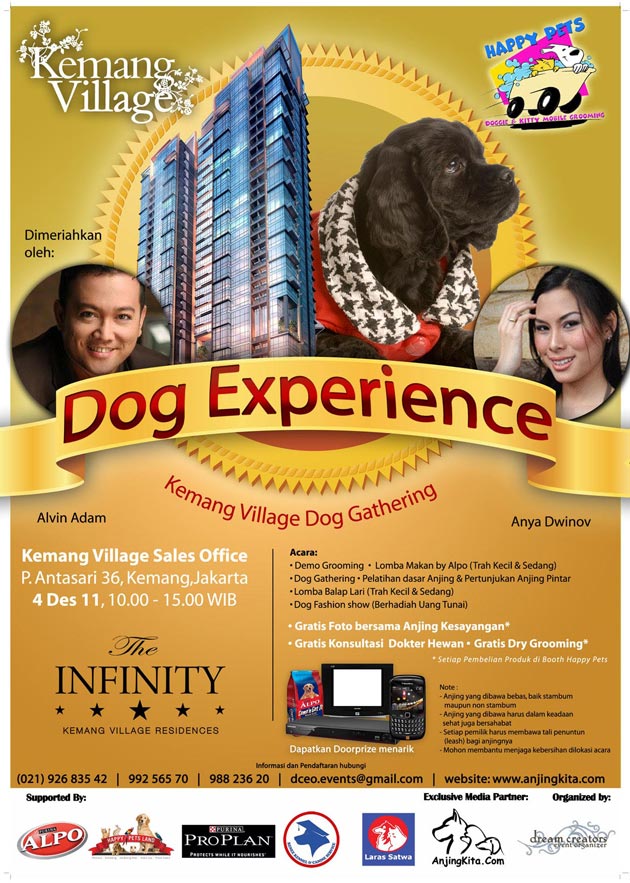 Dog Experience in The Infinity
