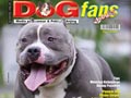 DOGFANS NEWS EDISI 125
