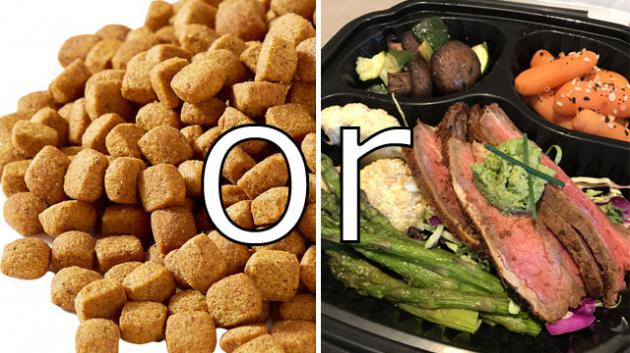 Pilih Mana: Dog Food Atau Makanan Alami?