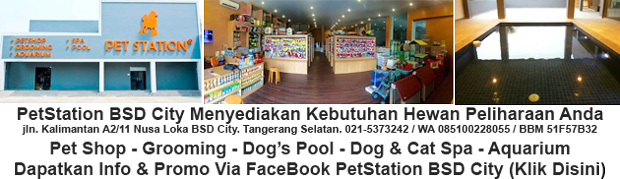 Kulit & Bulu Sehat Dengan Mandi Oksigen