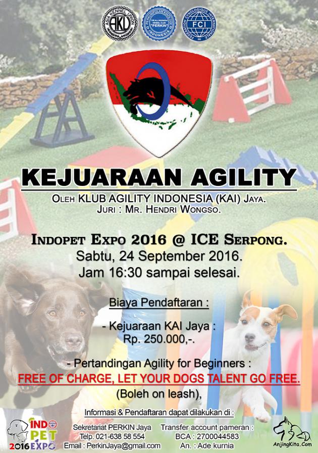Kejuaraan Agility