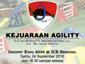 Kejuaraan Agility