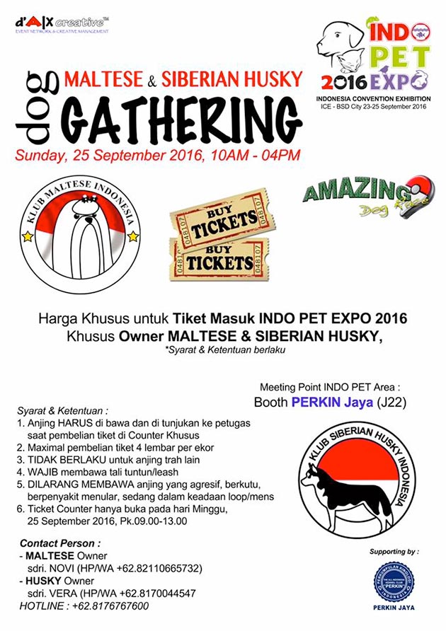 Maltese & Husky Lovers Gathering