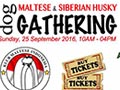 Maltese & Husky Lovers Gathering