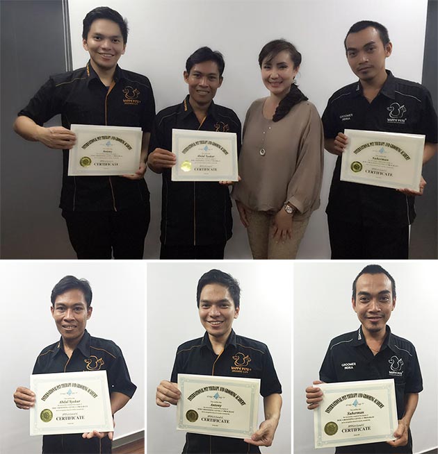 Sertifikat Internasional Groomer Happy Pet