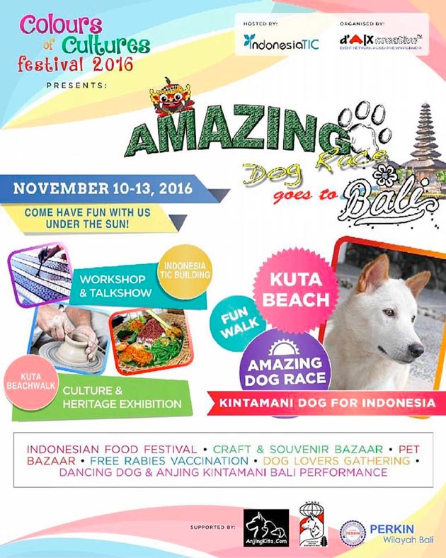 Amazing Dog Race Goes To Bali