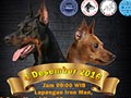 (REVISI JURI) KDI & KMPI Speciality & Dobermann Of The Year