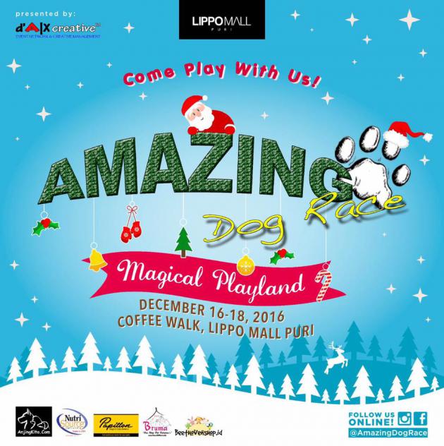 AMAZING DOG RACE 16! (3 Event!!!)
