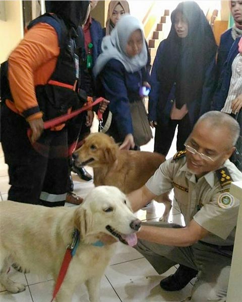 Anjing SAR Diterjunkan ke Aceh Cari Korban Gempa