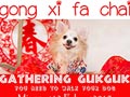 Batam Dog Lover Gathering