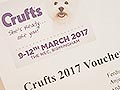 AnjingKita.Com Meliput Cruft Dog Show 2017