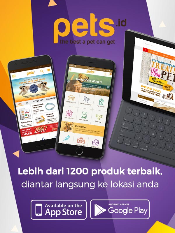 Aplikasi Terlengkap untuk Hewan Peliharaanmu