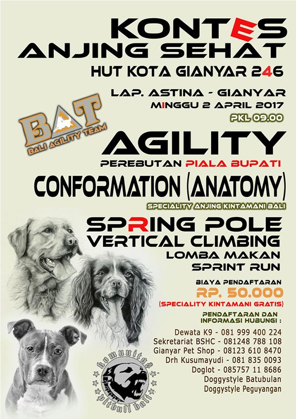 Kontes Anjing Sehat Gianyar 246