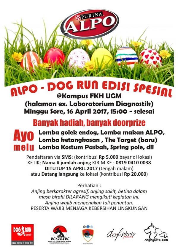 ALPO-DOG RUN Edisi Spesial